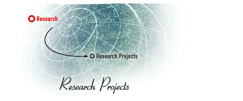 Research Projects