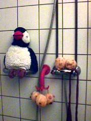 picture of pinguine nd little piglets just hanging around