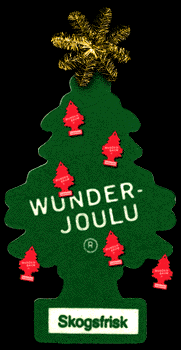 the fabulous wunder