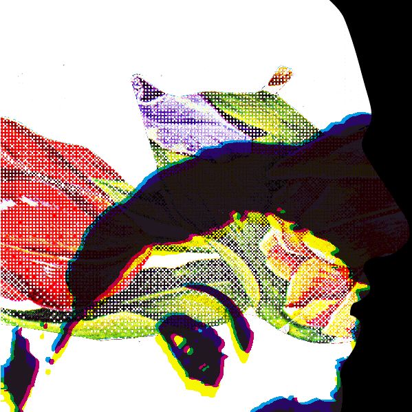 kuvat/ejv.jpg