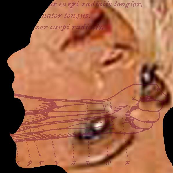 kuvat/flv_3.jpg